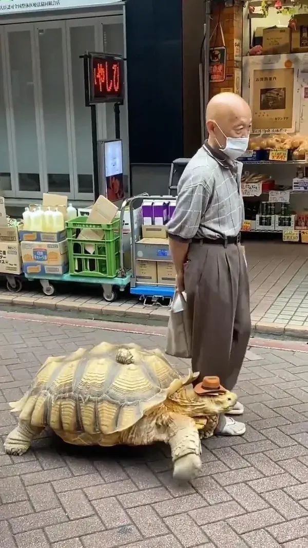 Long walk with friends! 🐢🥰