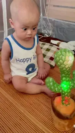 Dancing cactus toy