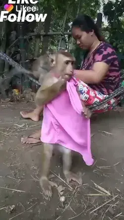 MONKEY DANCE 🥰🥰