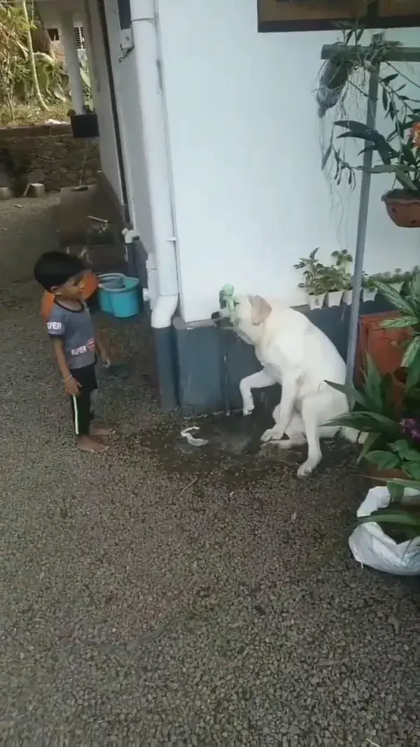 Thank you hooman! It's bath time