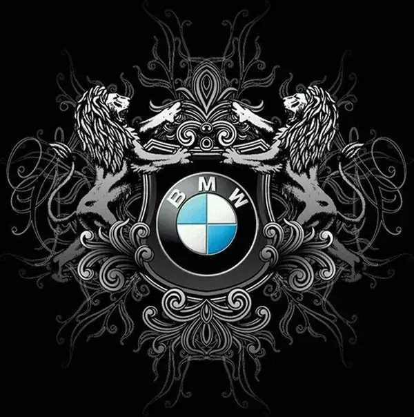 Bmw logo HD