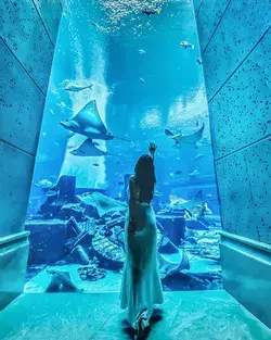The Lost Chambers Aquarium 