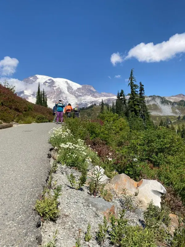 mt rainier