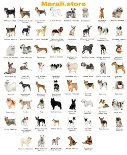 Dog breeds