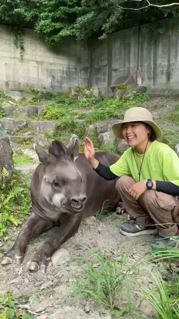 Big boy enjoying his belly scratches