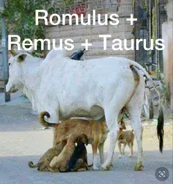 Romulus, Remus, Taurus