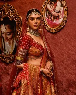 ADITI RAO HYDARI BEAUTIFUL SAREE/LEHENGA IDEA