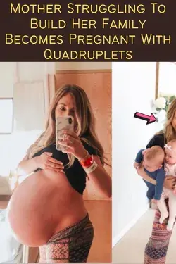 Mother Struggling To Build Her Family Becomes Pregnant With Quadruplets