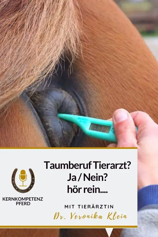 Traumberuf Pferdetierarzt?