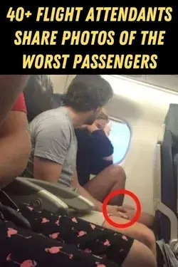 40+ Flight Attendants Share Photos Of The Worst Passengers