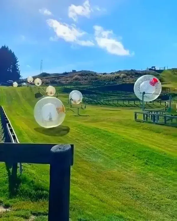 Zorbing, anyone? Evdekal