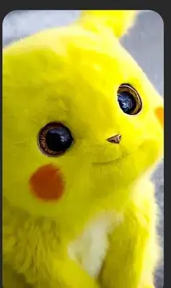 Pikachu Affetuoso