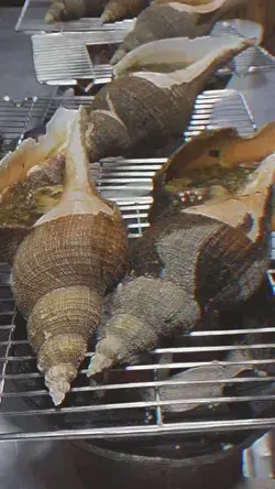 BBQ shellfish