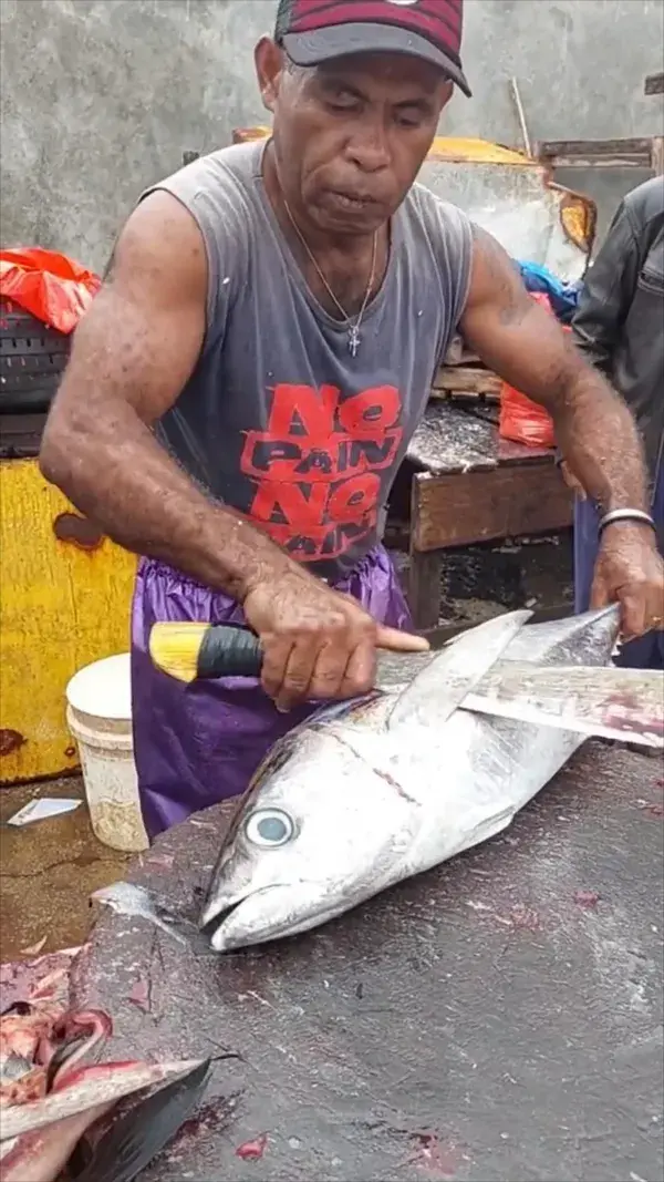 Watch this expert fillet a big tuna! 🐟