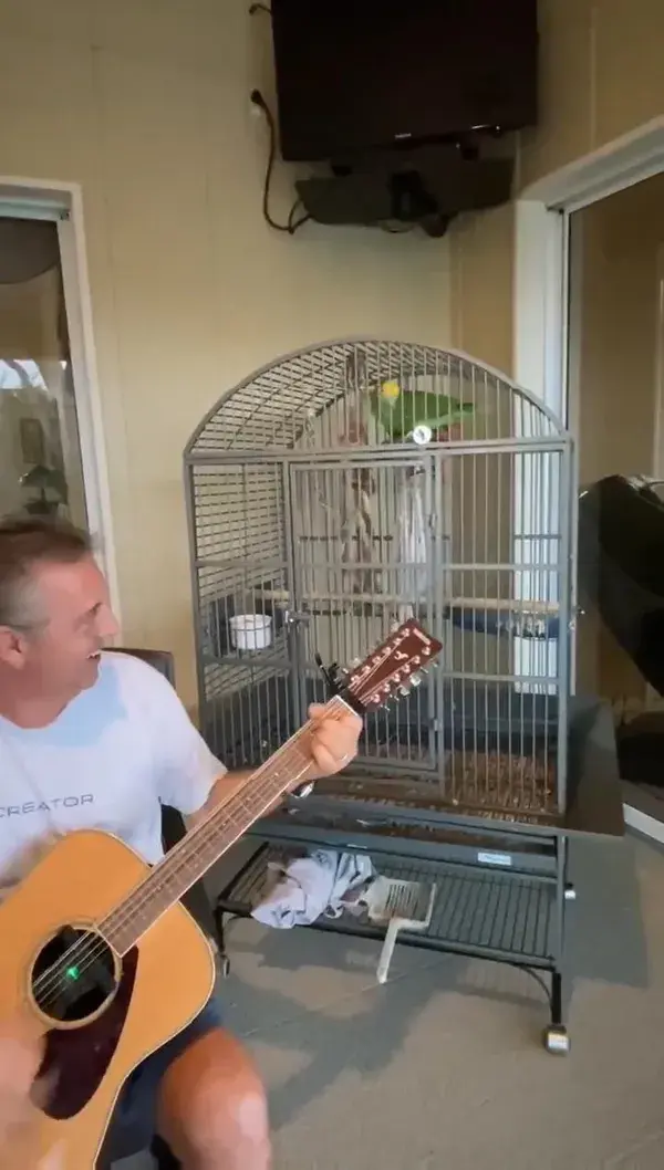 The singing voice on that parrot!