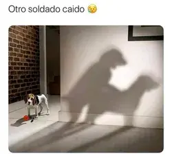 Soldado caído