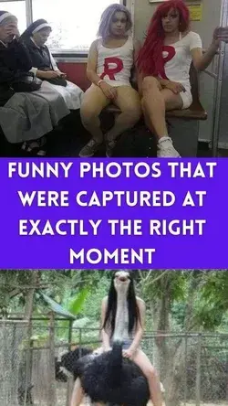 Funny Photos That Were Captured at Exactly the Right Moment