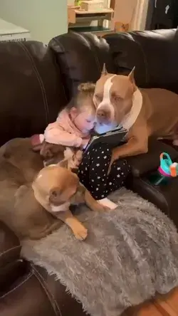 Baby and dog