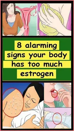 Identifying Estrogen Dominance In The Body And Treating It