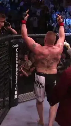 Brock Lesnar - UFC