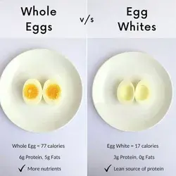 Eggs