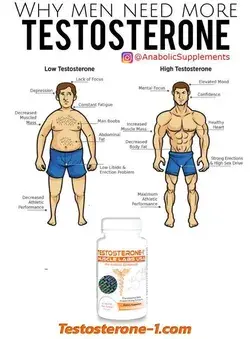 How Testosterone Helps Build Muscle Mass