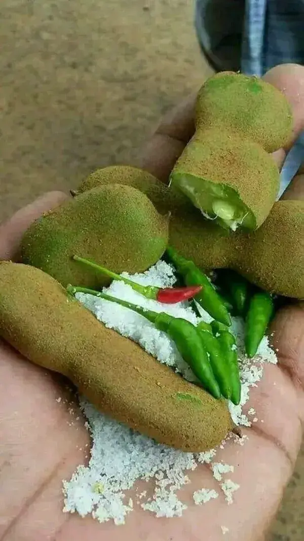 Farm fresh Tamarind