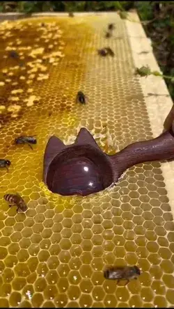 Satisfying Honey Collecting