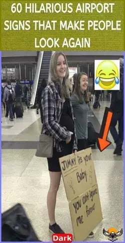 60 hilarious airport signs that make people look again