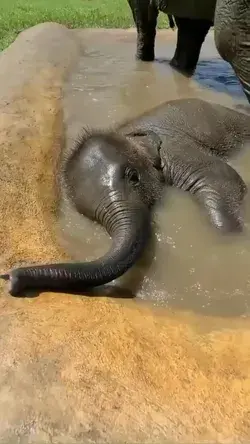 What a little darling enjoying his bath