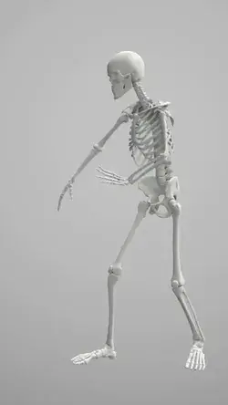 Skeleton dance