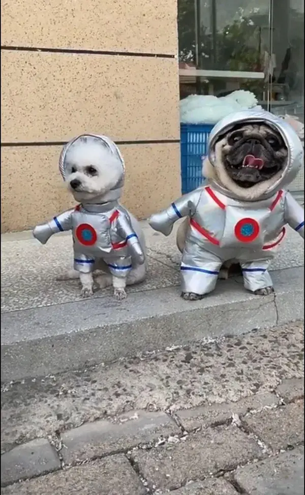 Pet Dog Costumes Astronaut Suit Cosplay Clothes For Small Medium Dogs