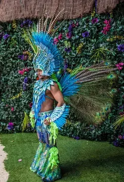 Rio carnival entertainment