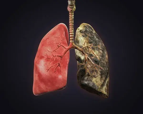 Here’s Exactly How It Affects Your Lungs