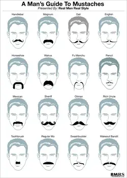 Facial Hair Guide Mustaches