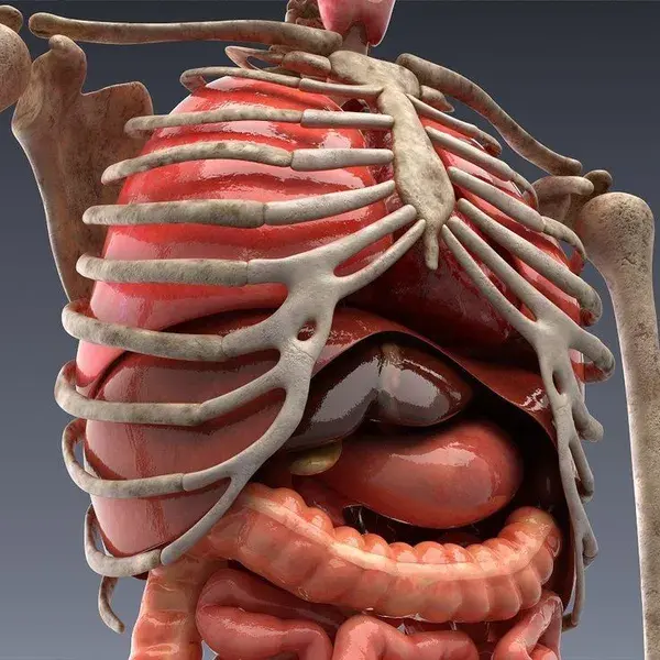 3d medical animation, medical animation, 3d animation video