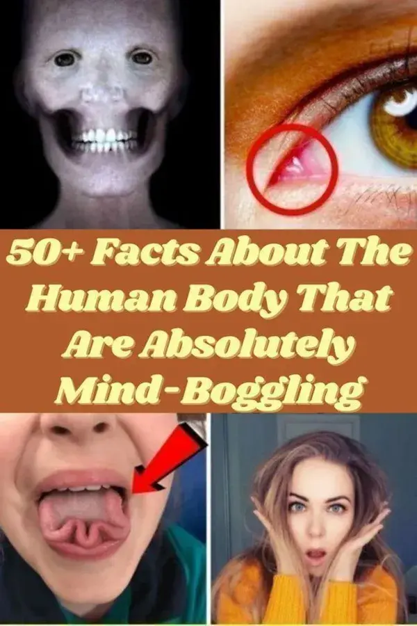 50+ Facts About The Human Body That Are Absolutely Mind-Boggling