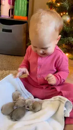 Baby and rabbits