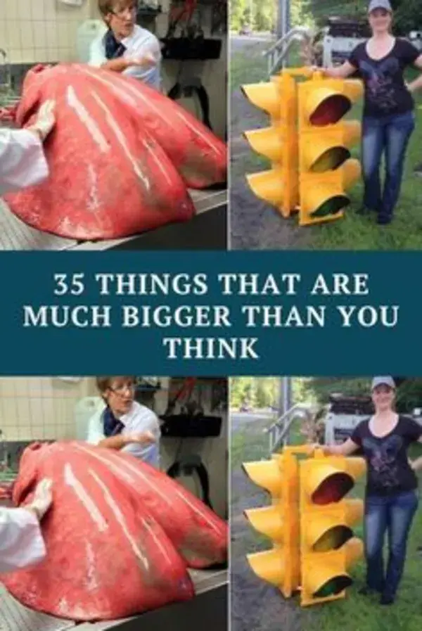 35 Things That Are Way Larger Than You Think