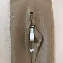 Labia light switch