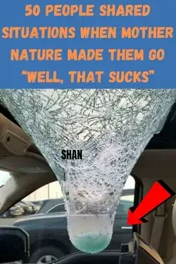 50 People Shared Situations When Mother Nature Made Them Go “Well, That Sucks”