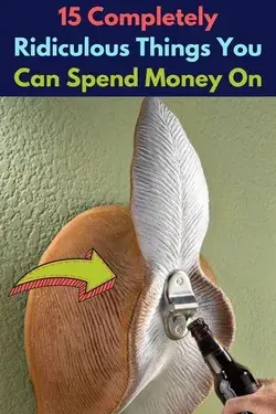 15 Completely Ridiculous Things You Can Spend Money On