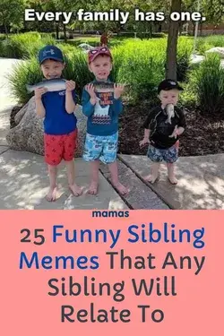 25 Funny Sibling Memes Any Brother or Sister Will Relate To