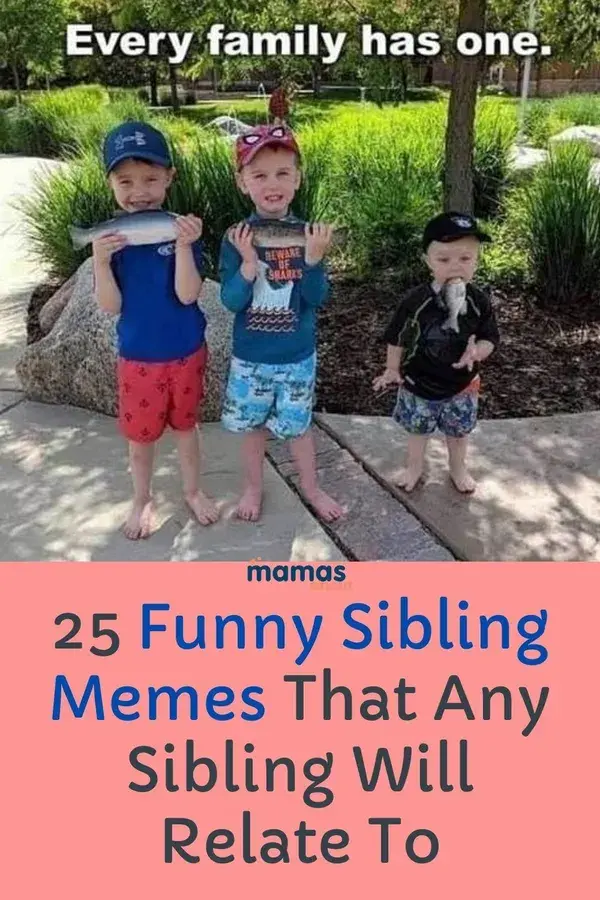 25 Funny Sibling Memes Any Brother or Sister Will Relate To