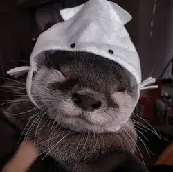 otter