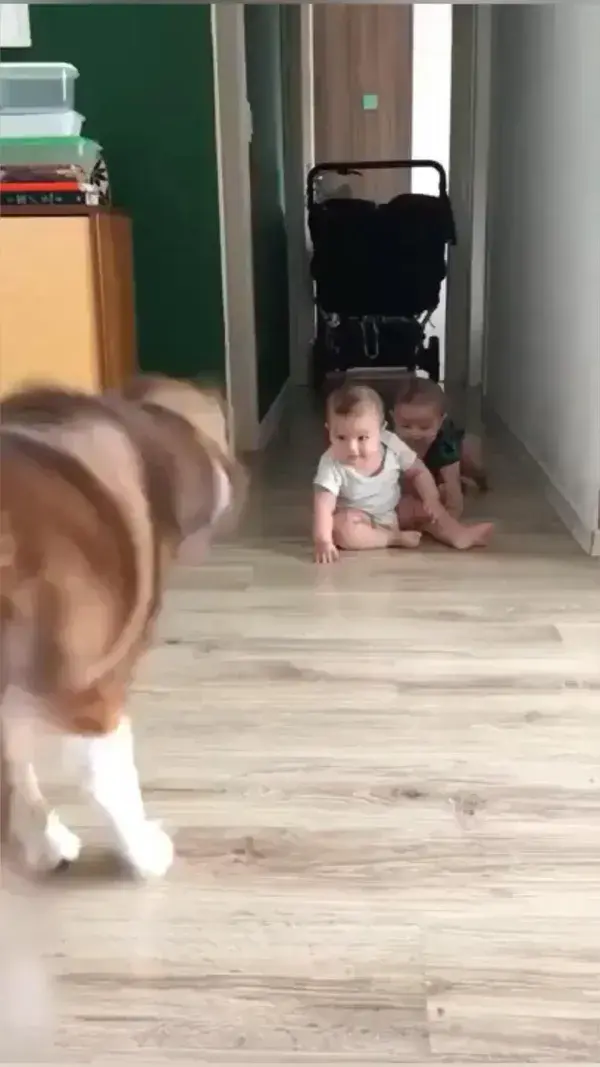 Baby and dog