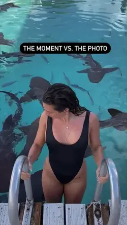 Swimming with sharks in the Bahamas. Would you love to try it?