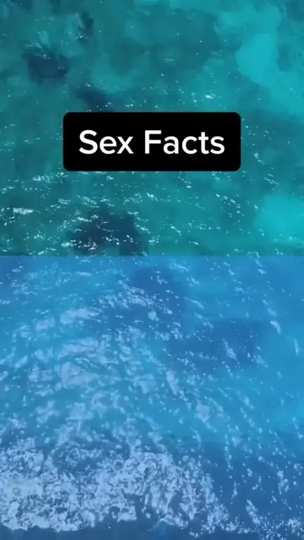 Bringing back some sex facts. Why do you guys like these so much?😂