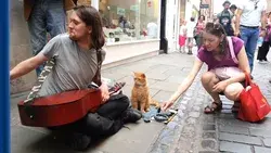 A street cat named bob