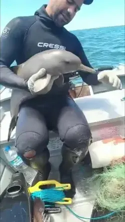 Saving a baby dolphin🐬🥰